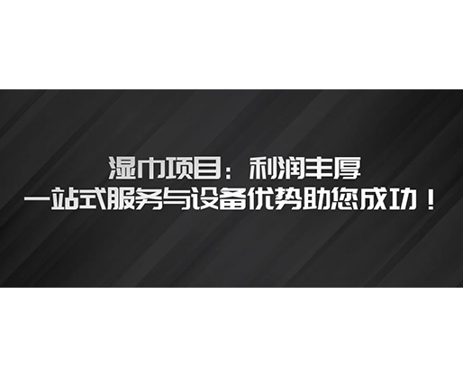 濕巾項目：利潤豐厚，一站式服務與設備優勢助您成功！